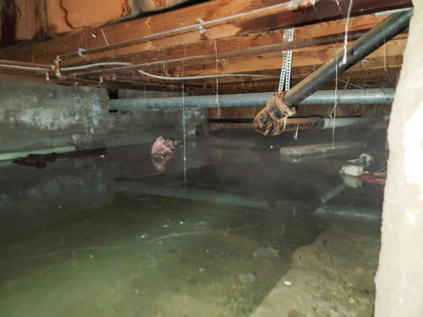 Best Water damage restoration mold remediation  in Phillipsburg, NJ