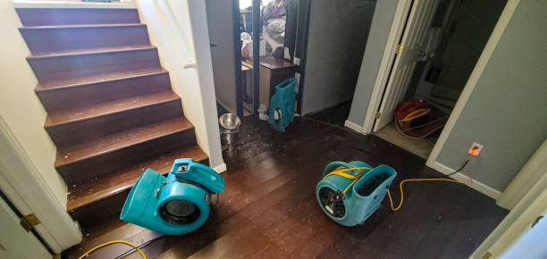 Best Sewage cleanup and water damage restoration  in Phillipsburg, NJ
