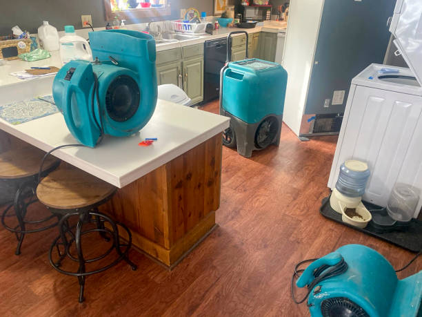 Best Local water damage restoration  in Phillipsburg, NJ