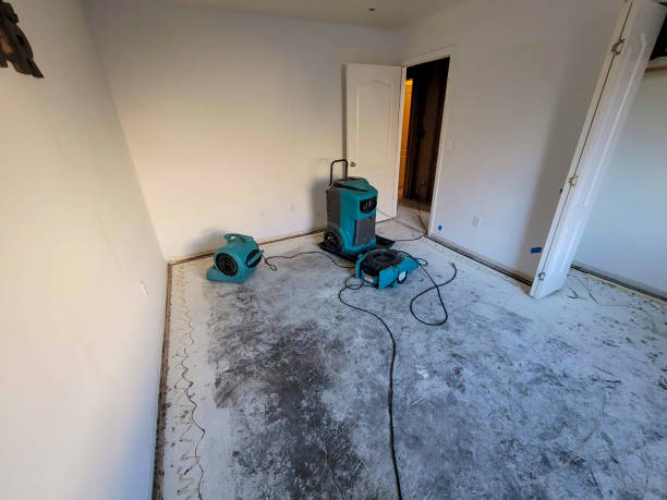 Best Flooded house restoration  in Phillipsburg, NJ