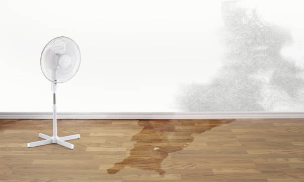 Best Flooded house restoration  in Phillipsburg, NJ