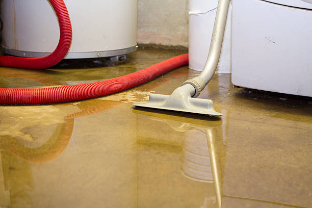 Best Flood restoration services  in Phillipsburg, NJ