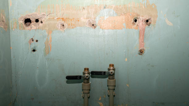 Best Water damage contractors near me  in Phillipsburg, NJ