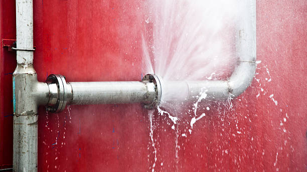 Best Basement water damage restoration  in Phillipsburg, NJ